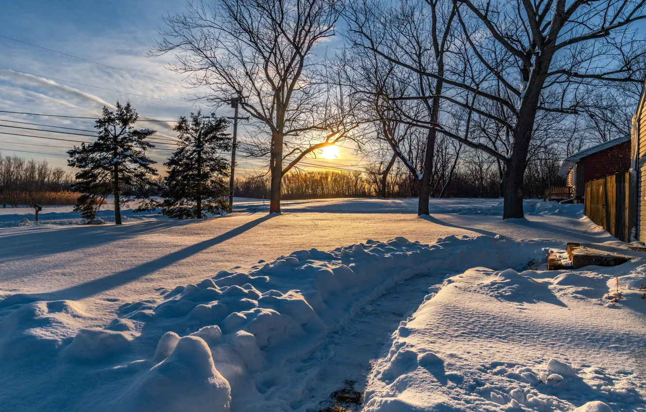 Photo wallpaper the sun, snow, trees, the evening