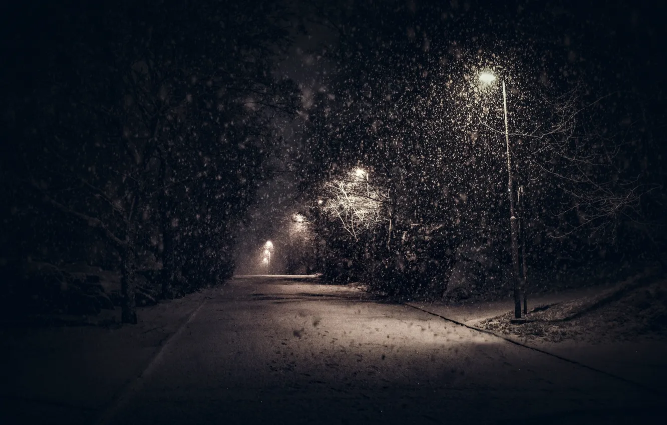 Photo wallpaper Winter, Night, Trees, Snow, Branches, Light, Lights, The sidewalk