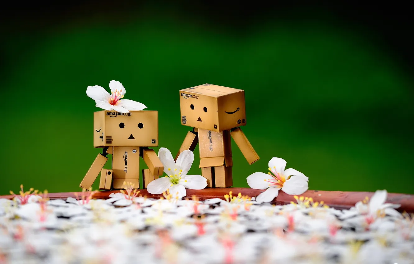 Photo wallpaper mood, box, amazon