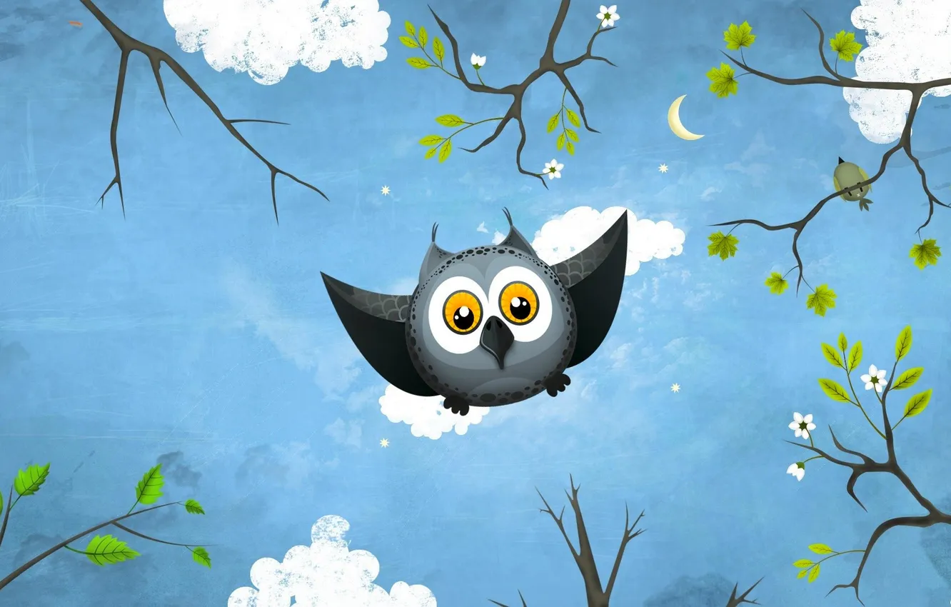 Photo wallpaper flight, owl, art