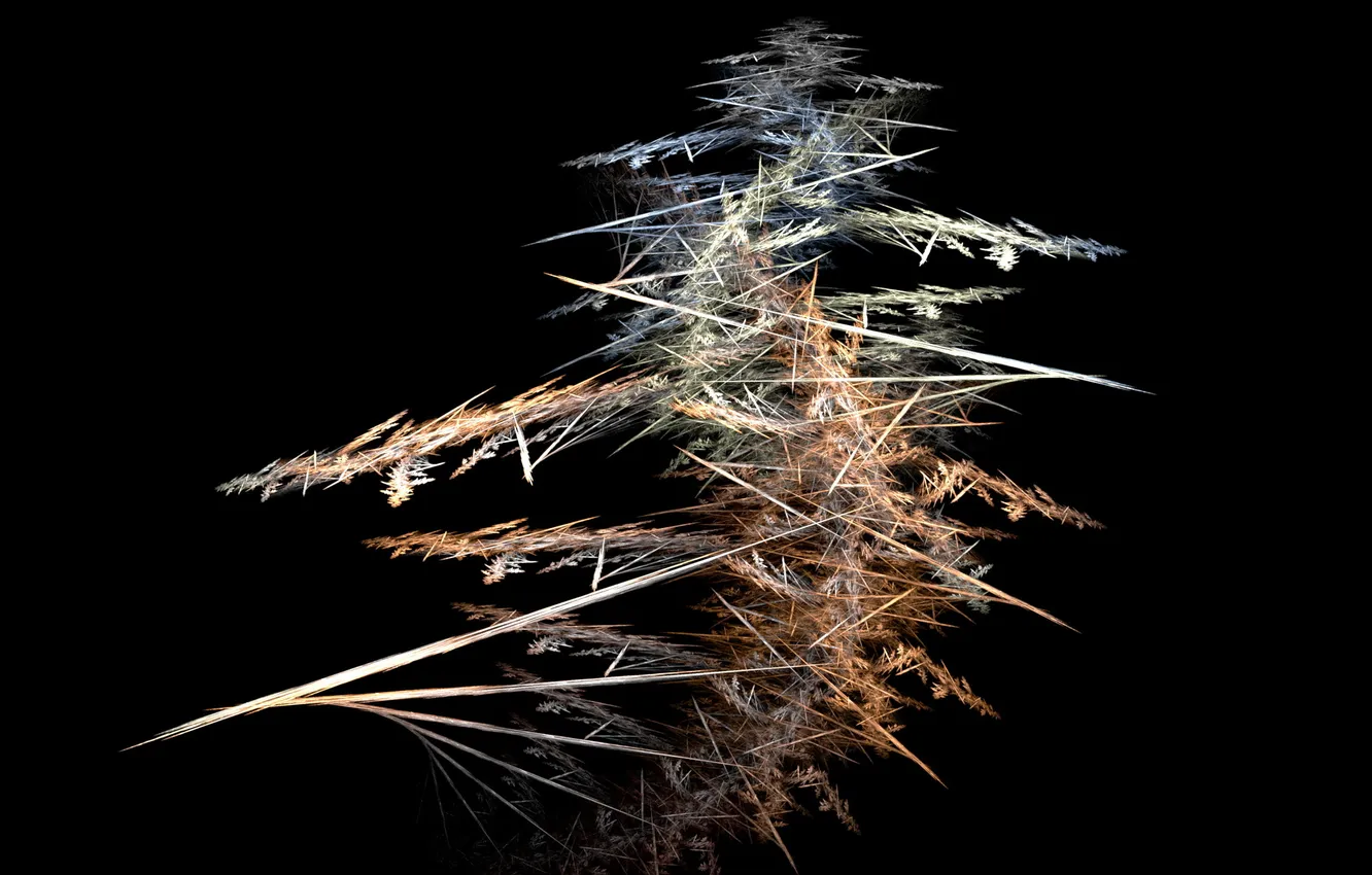 Photo wallpaper rays, fish, black background, the bare bones