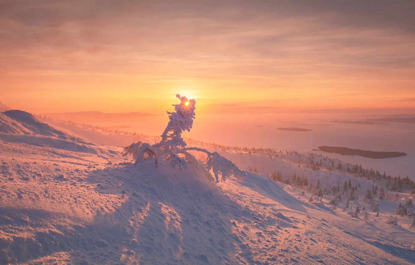 Photo wallpaper winter, landscape, The Kola Peninsula, Maxim Evdokimov, morning waltz