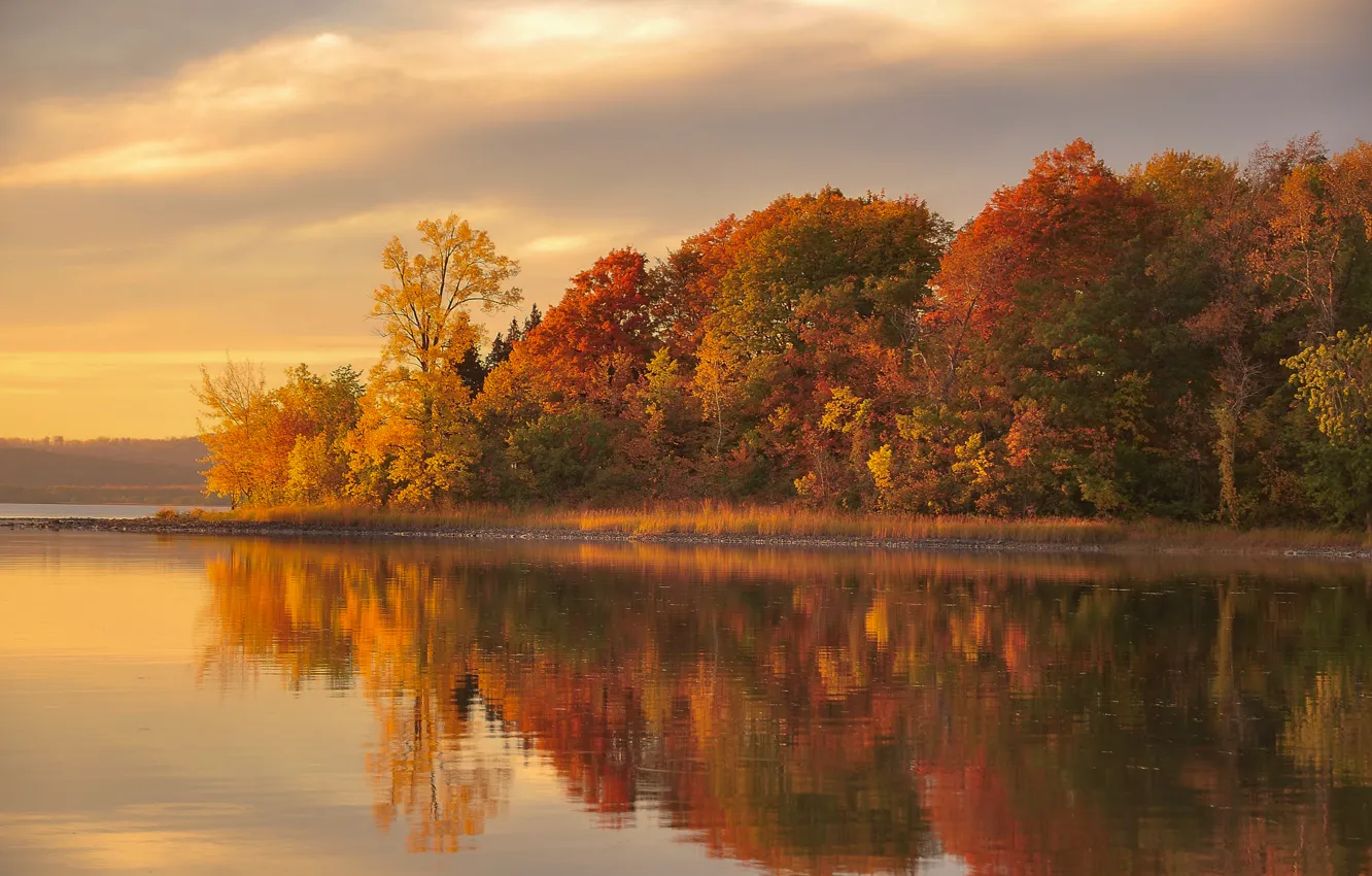 Photo wallpaper autumn, forest, lake, reflection