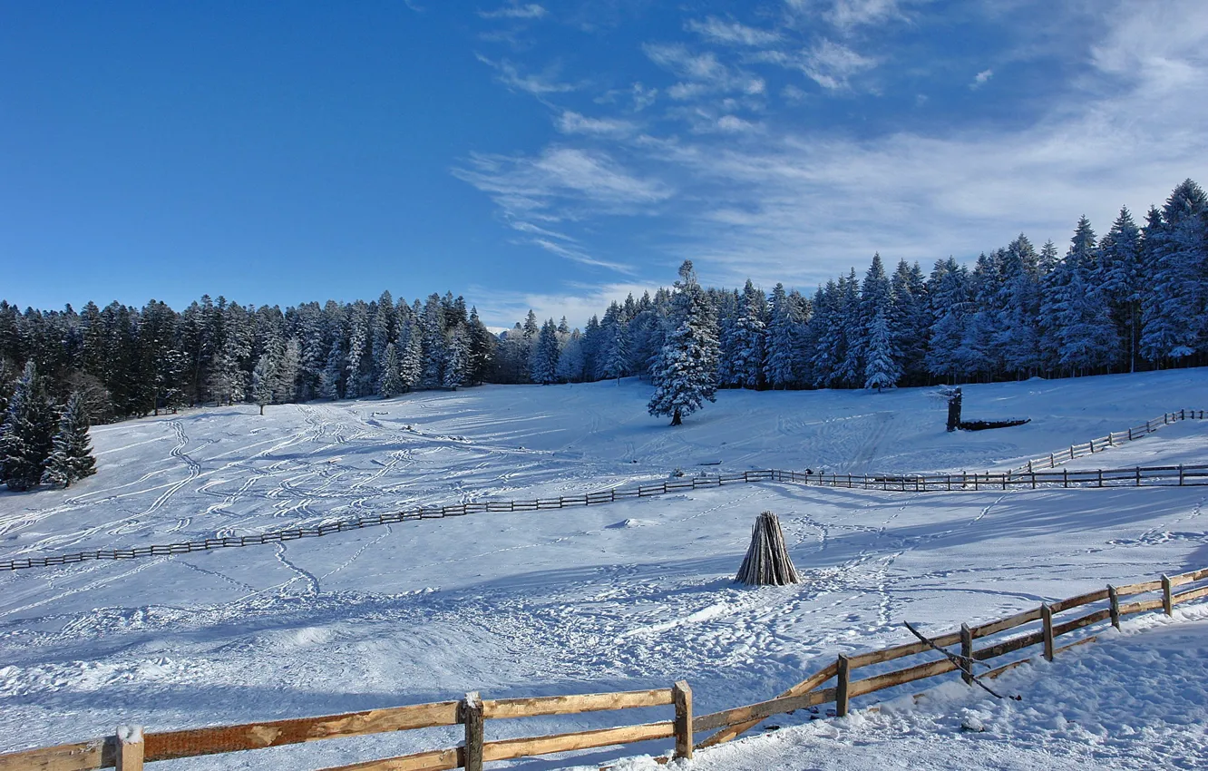 Photo wallpaper winter, snow, cold