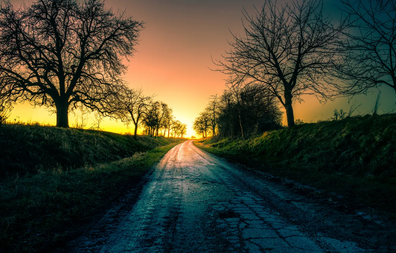 Photo wallpaper road, the sky, light, trees, landscape, sunset, Germany