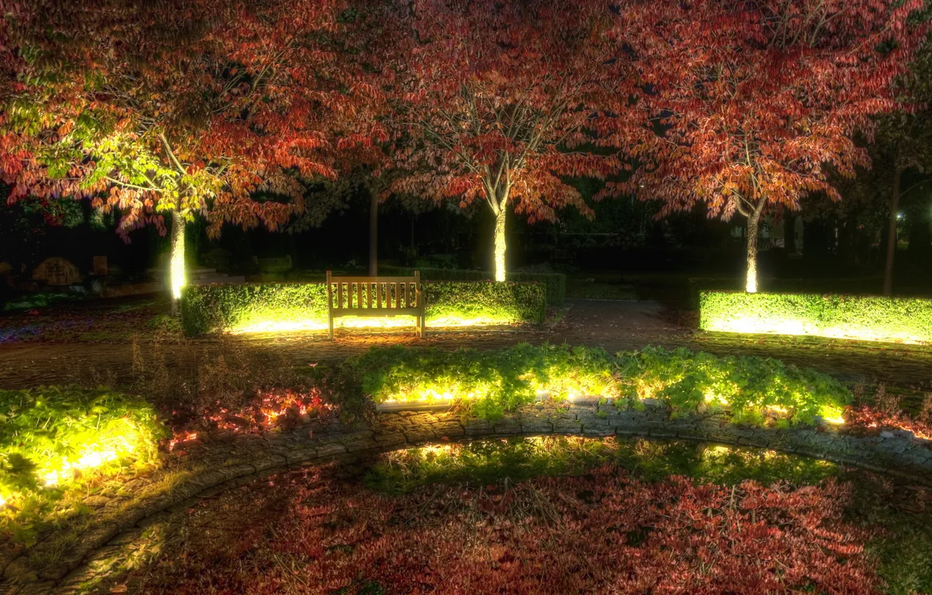 Photo wallpaper light, trees, night, the city, Park, bench