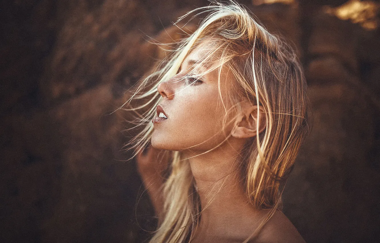 Photo wallpaper profile, sponge, the beauty, Lennart Bader, H E A T