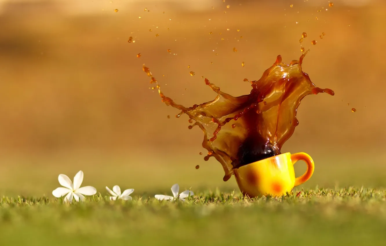 Photo wallpaper grass, drops, flowers, squirt, tea, coffee, orange, Cup