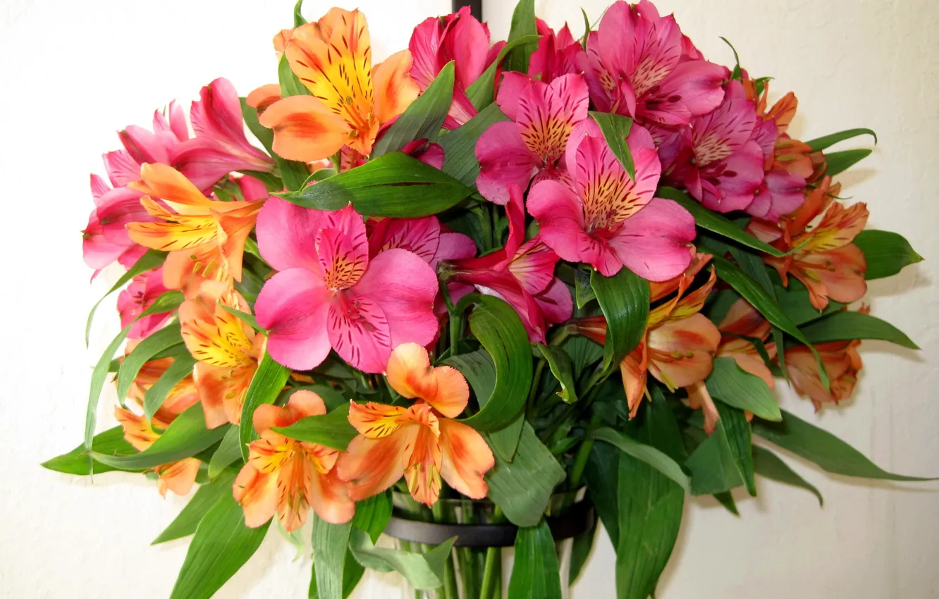 Photo wallpaper flowers, nature, bouquet, alstremeria, Alstroemeria