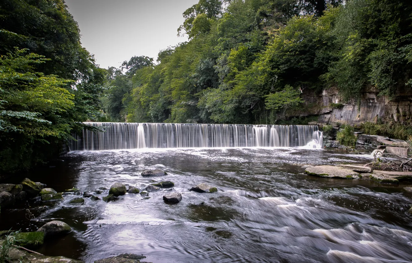 Photo wallpaper forest, water, trees, nature, stones