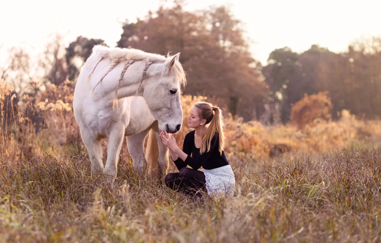 Photo wallpaper girl, nature, horse