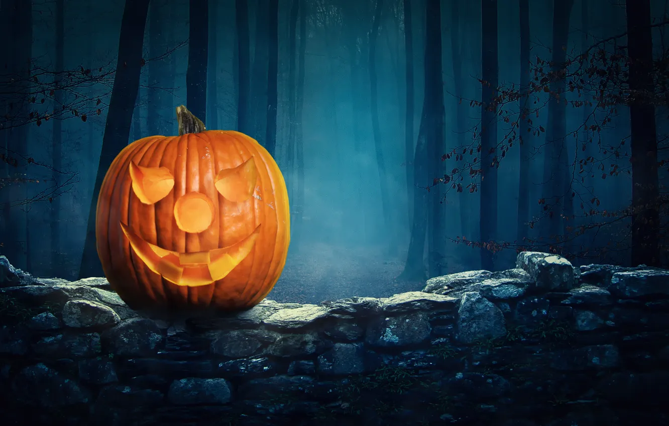 Photo wallpaper forest, night, Halloween Pumpkin