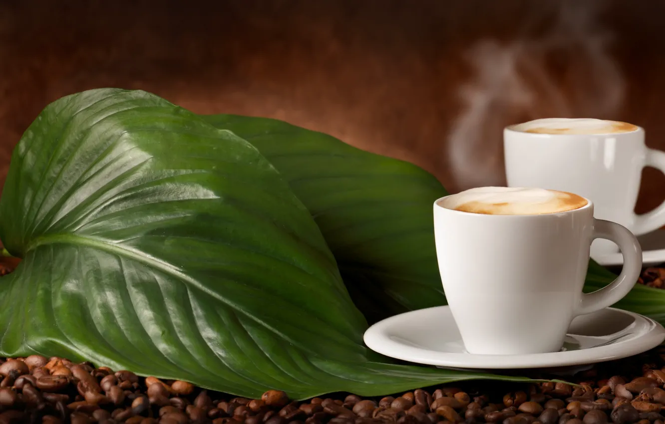 Photo wallpaper leaves, coffee beans, flavored coffee