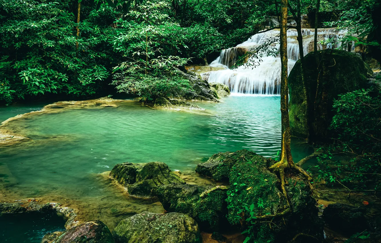 Photo wallpaper forest, landscape, river, rocks, waterfall, summer, forest, tropical