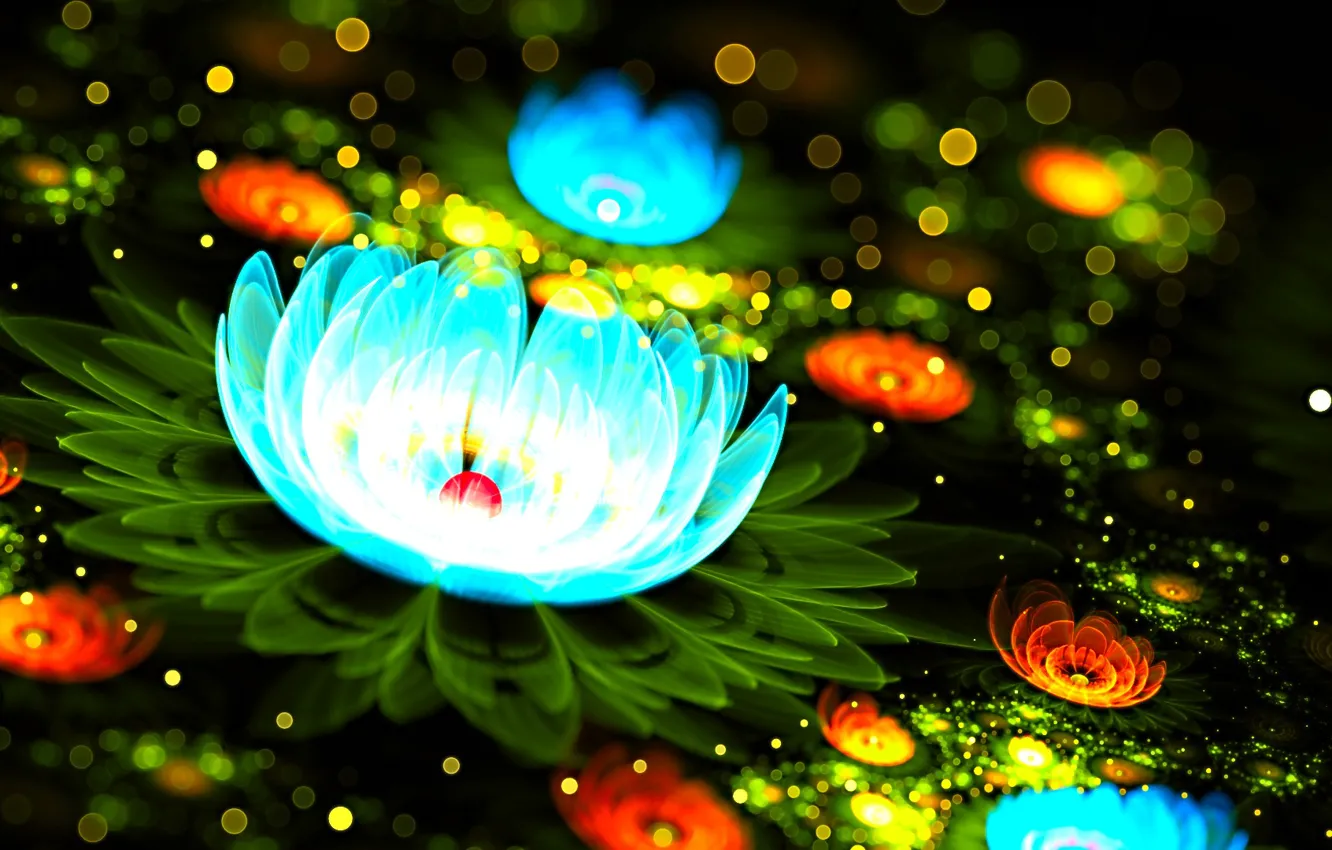 Photo wallpaper flowers, Lily, lily, lilypad