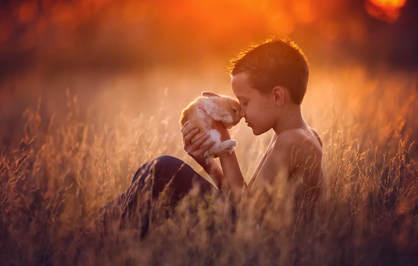Photo wallpaper light, nature, boy, rabbit