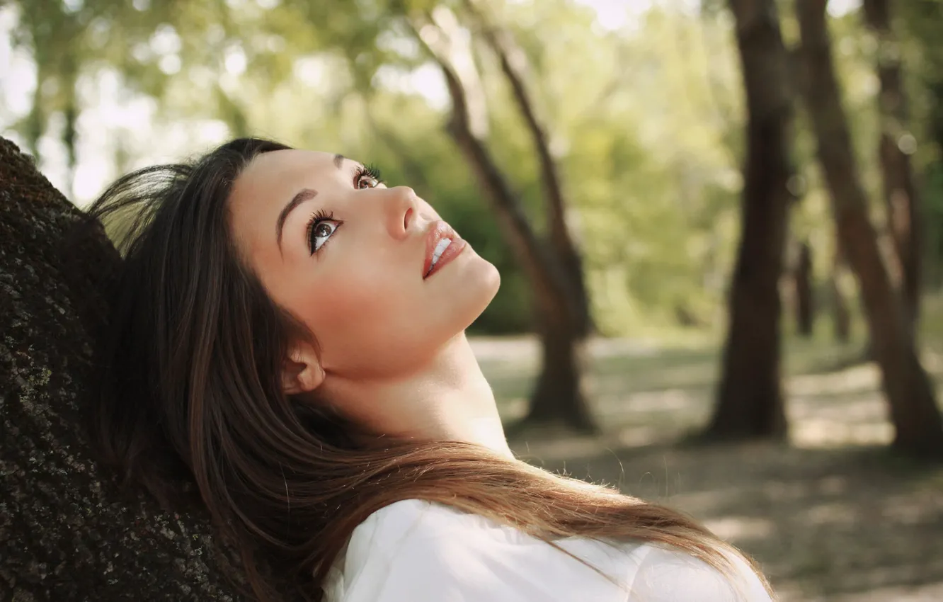 Photo wallpaper look, girl, trees, nature, face, background, mood, Wallpaper