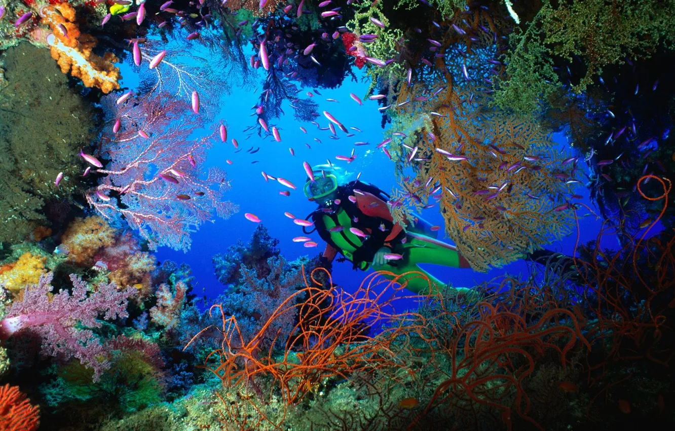 Photo wallpaper Cave, Corals, Fiji