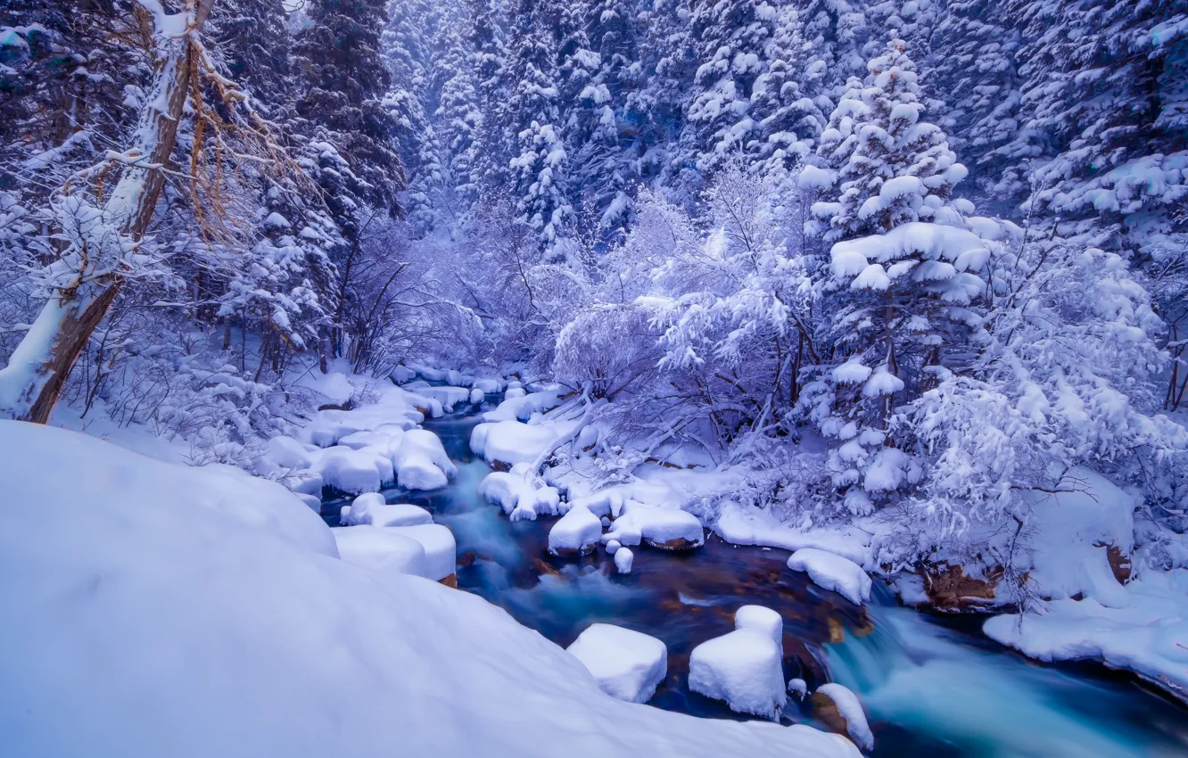 Photo wallpaper winter, forest, snow, landscape, nature, river, frost