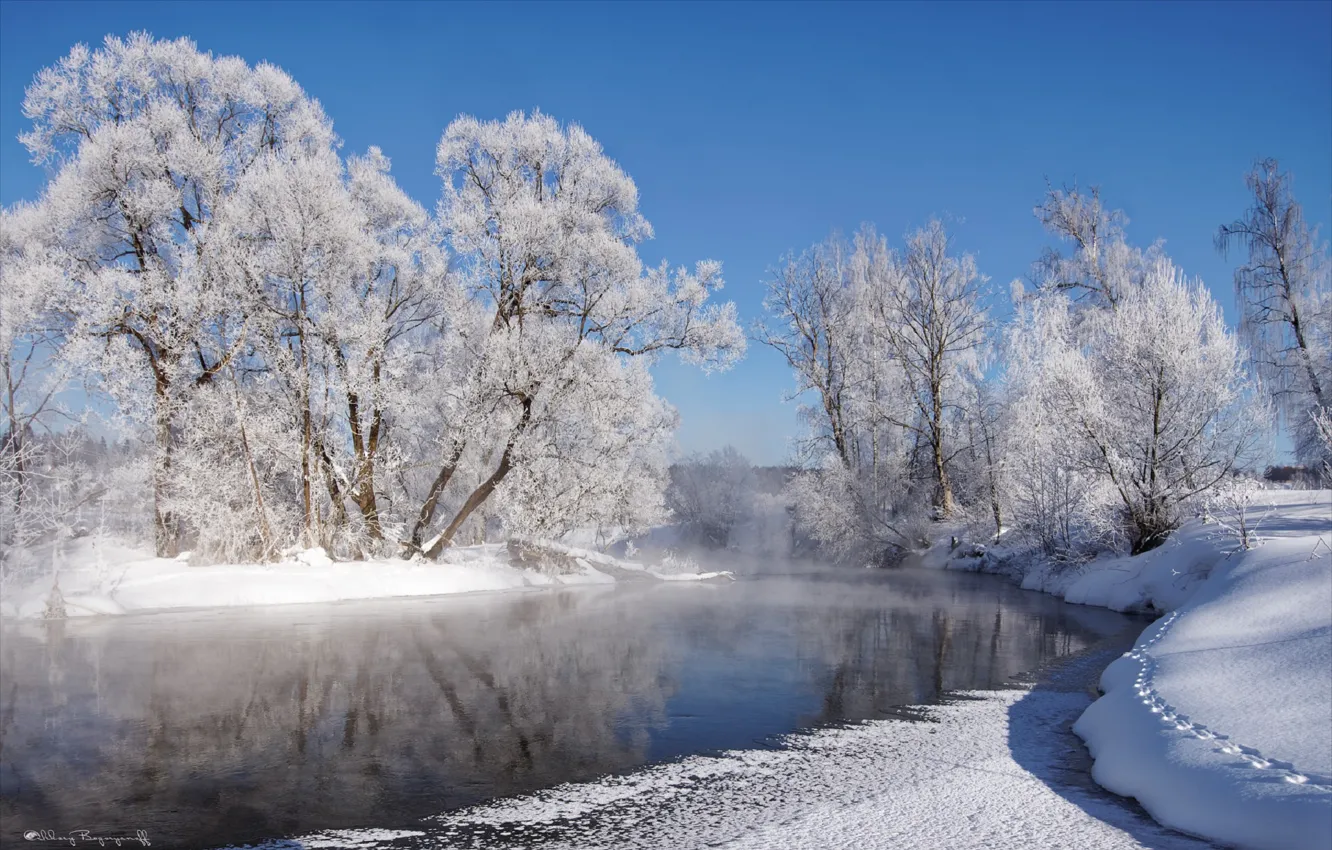 Photo wallpaper winter, frost, the sun, snow, trees, river, frost