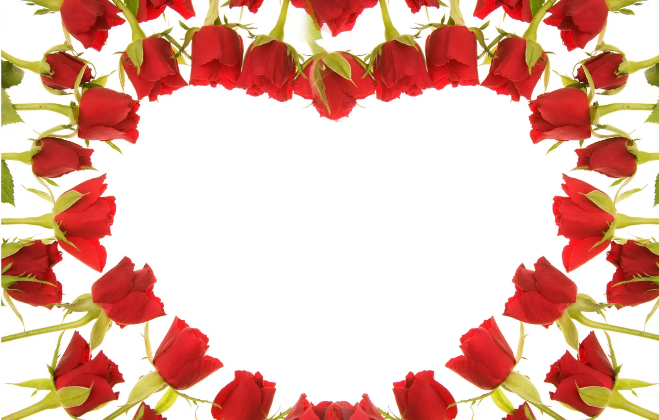 Photo wallpaper red, heart, roses, red, heart, beautiful, roses, valentines day