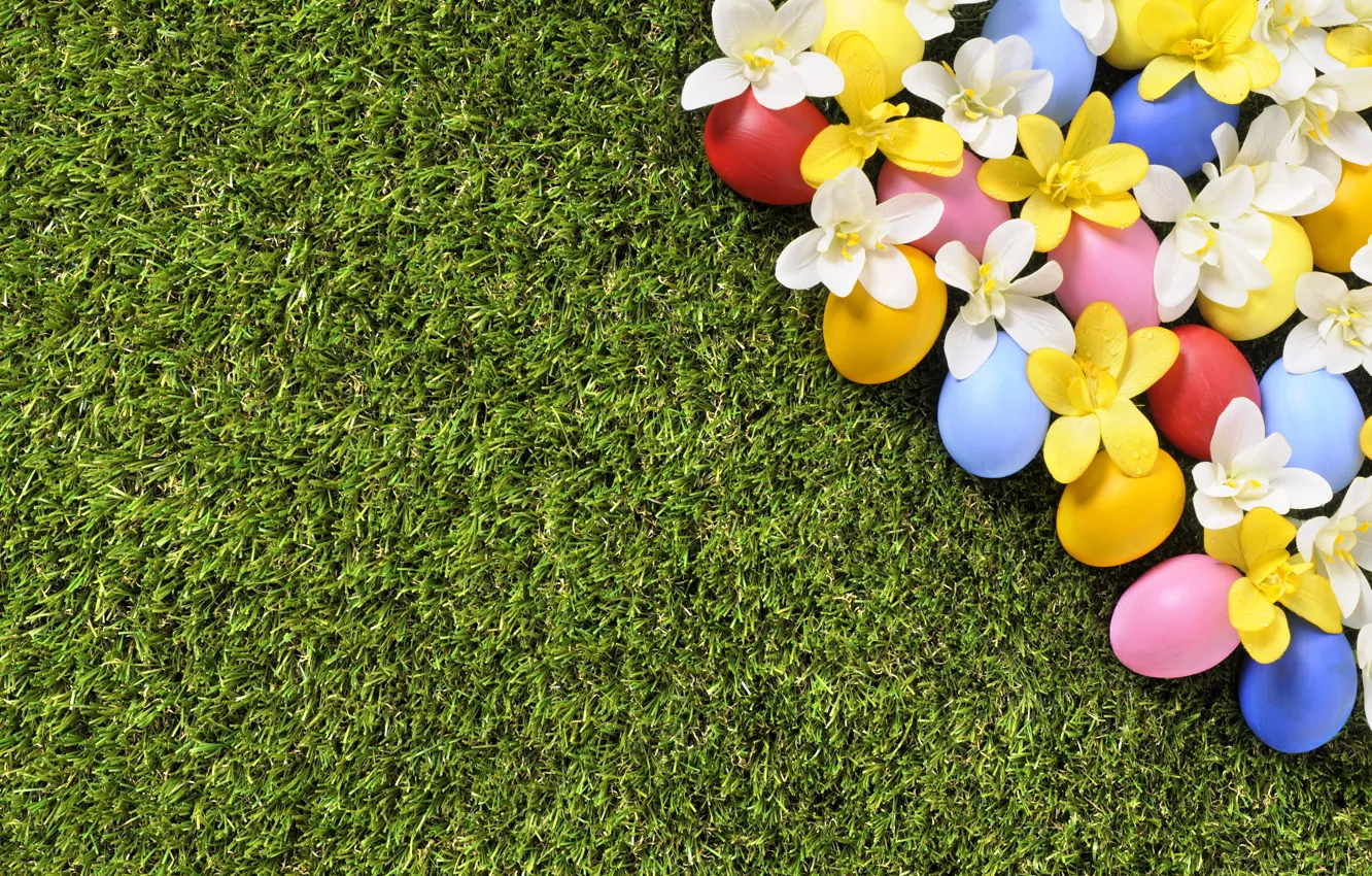 Photo wallpaper grass, flowers, spring, Easter, flowers, spring, Easter, eggs