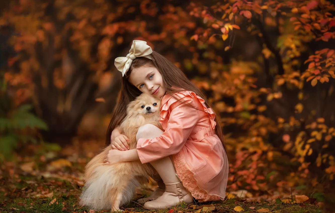 Photo wallpaper autumn, look, mood, dog, friendship, girl, bow, friends