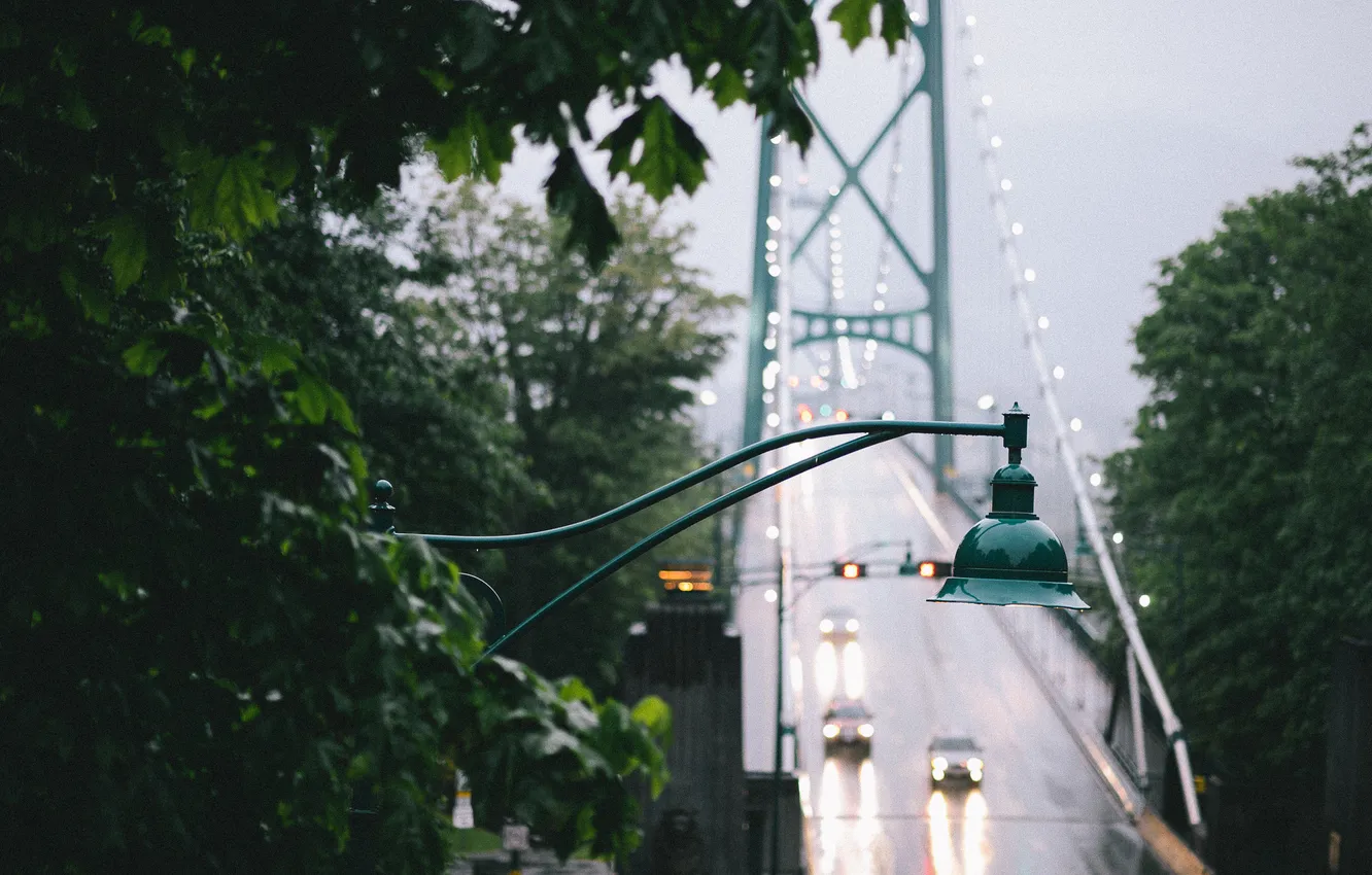 Photo wallpaper leaves, trees, bridge, fog, lights