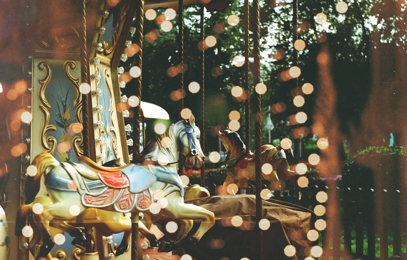 Photo wallpaper glare, carousel, by TanjaMoss