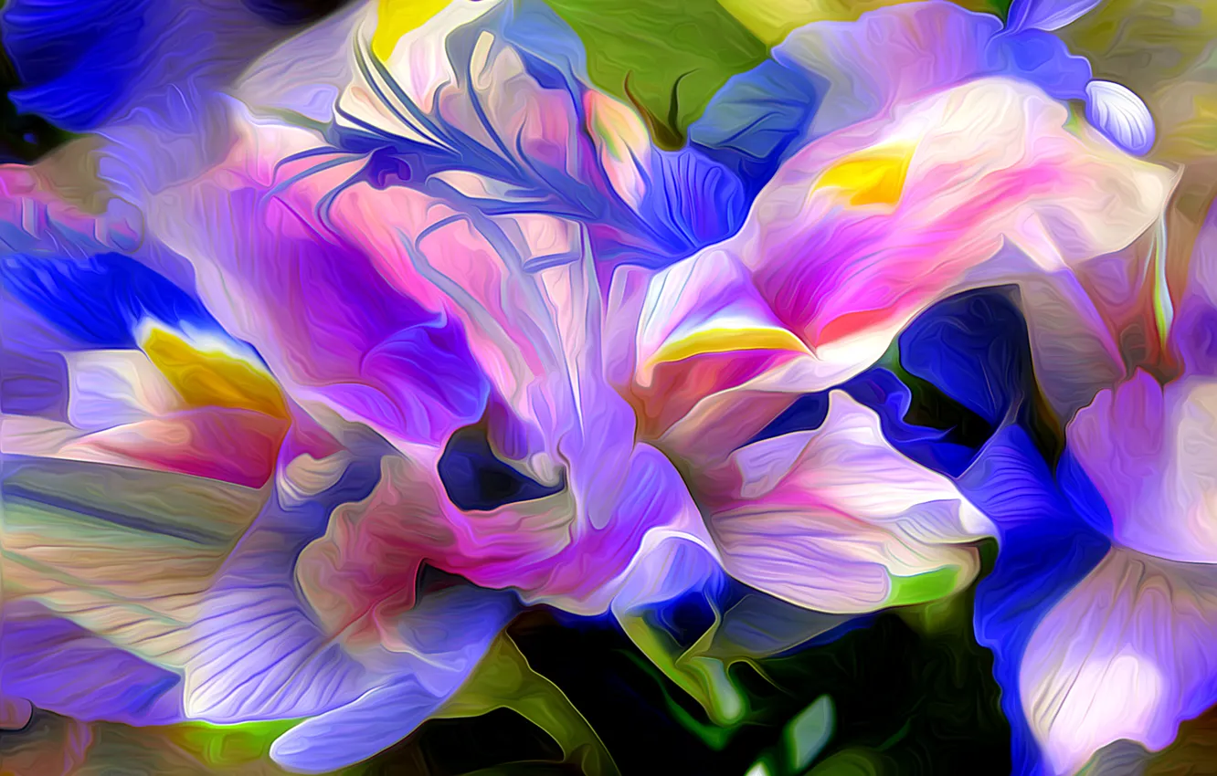 Photo wallpaper flowers, nature, abstraction, plant, petals