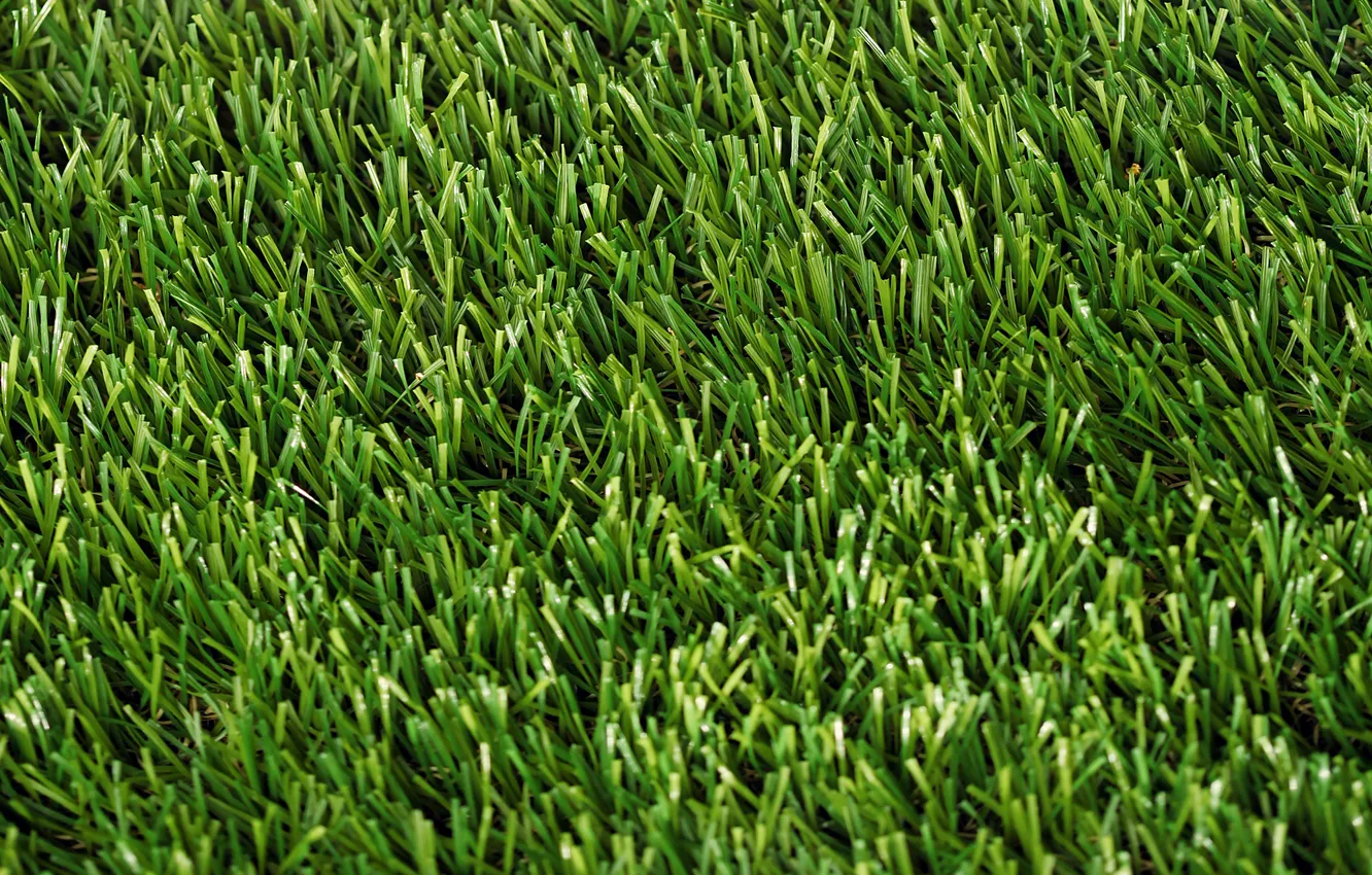 Photo wallpaper lawn, coating, artful