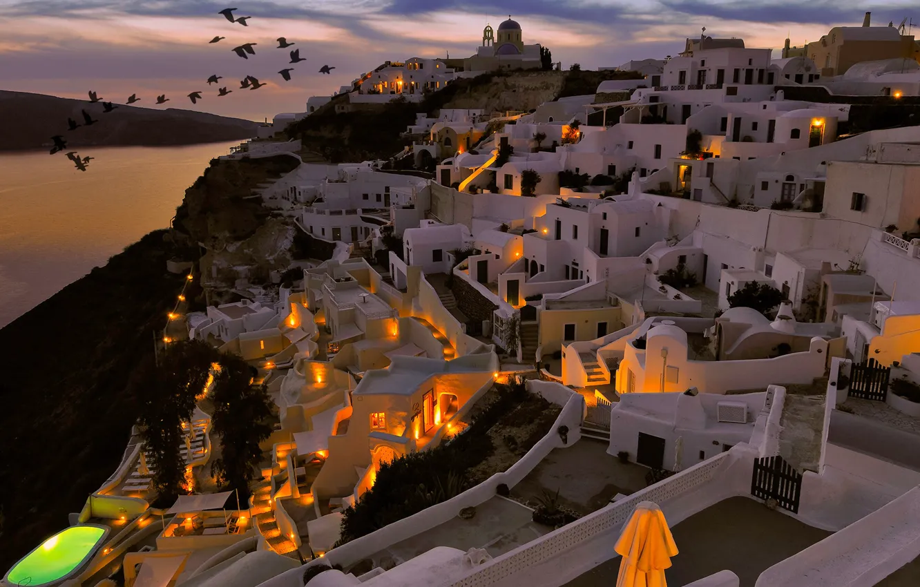 Photo wallpaper sea, night, the city, lights, bird, shore, building, home