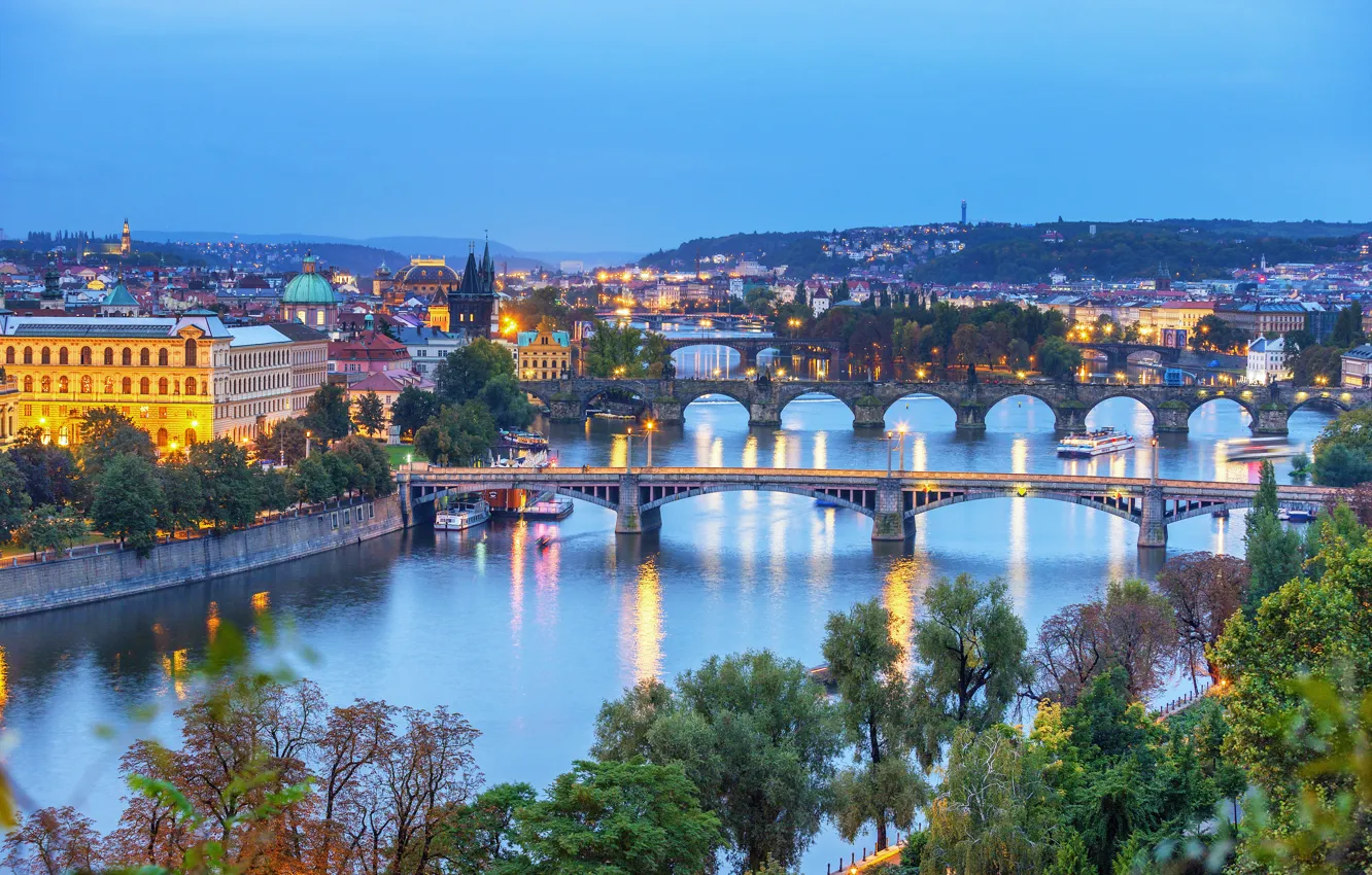 Photo wallpaper trees, night, bridge, the city, lights, river, blue, shore