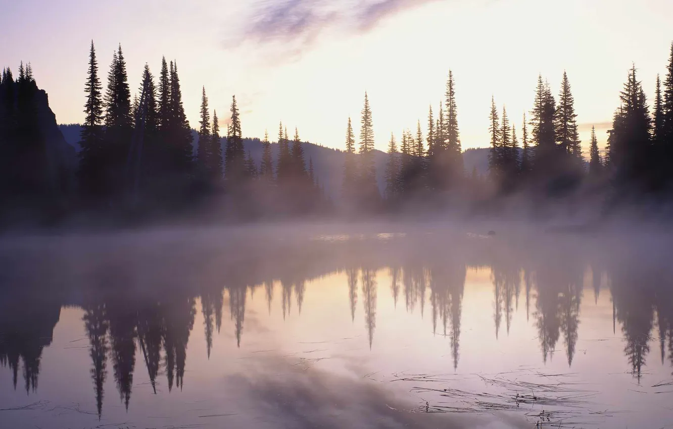 Photo wallpaper forest, mountains, fog, lake