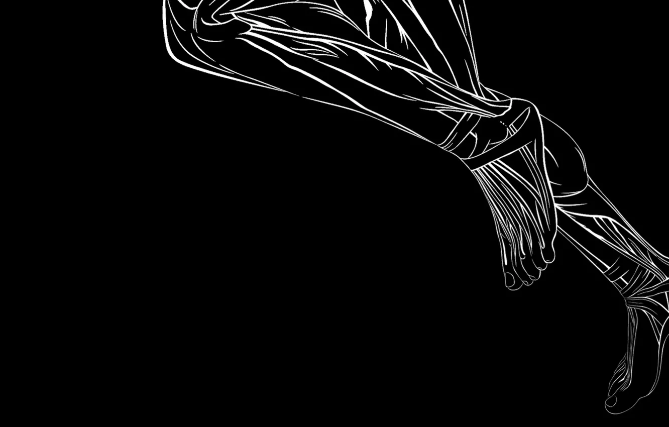 Photo wallpaper legs, lines, muscles