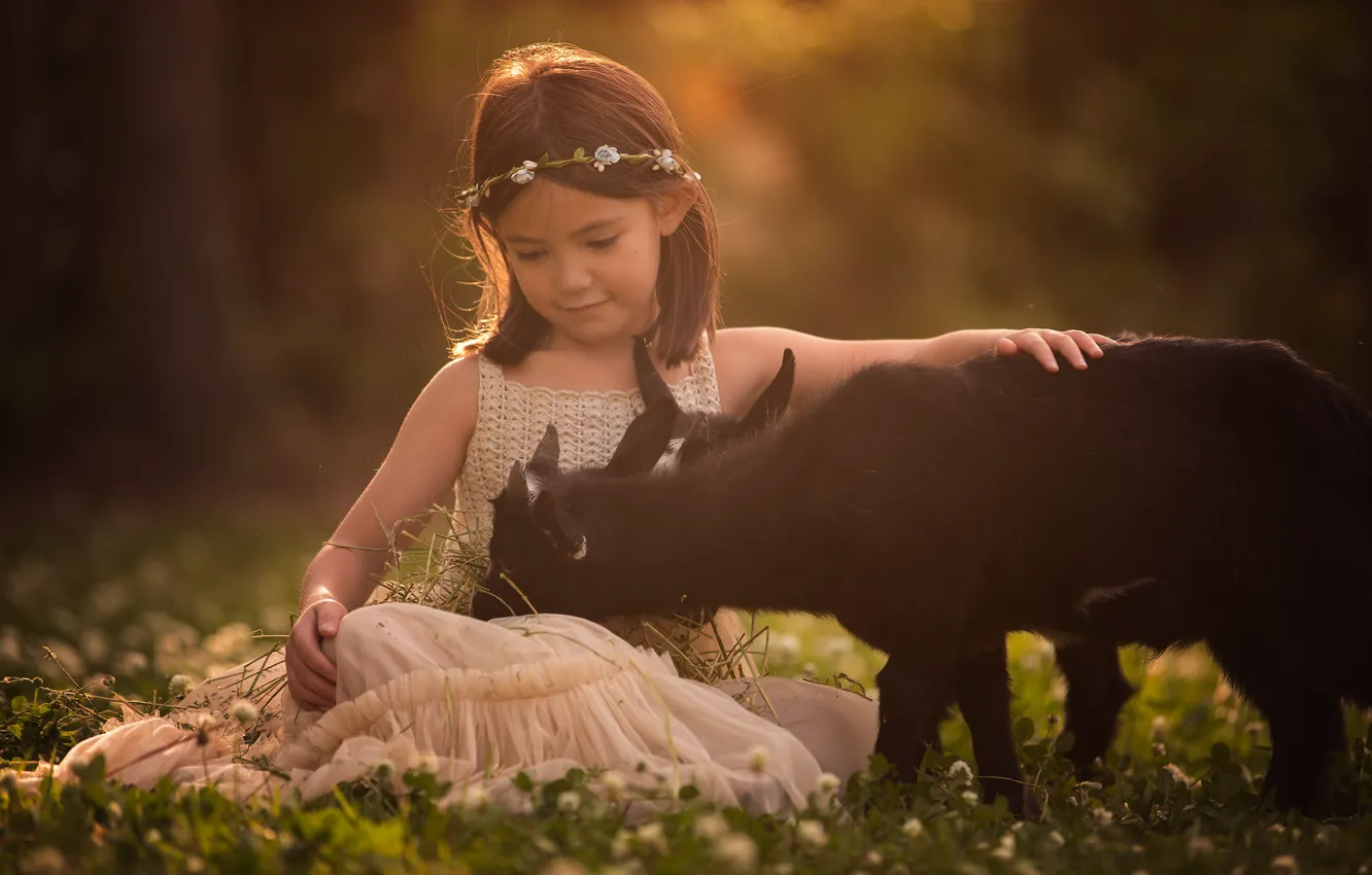 Photo wallpaper each, goat, flowers, brunette, sitting, dress, clover, goat