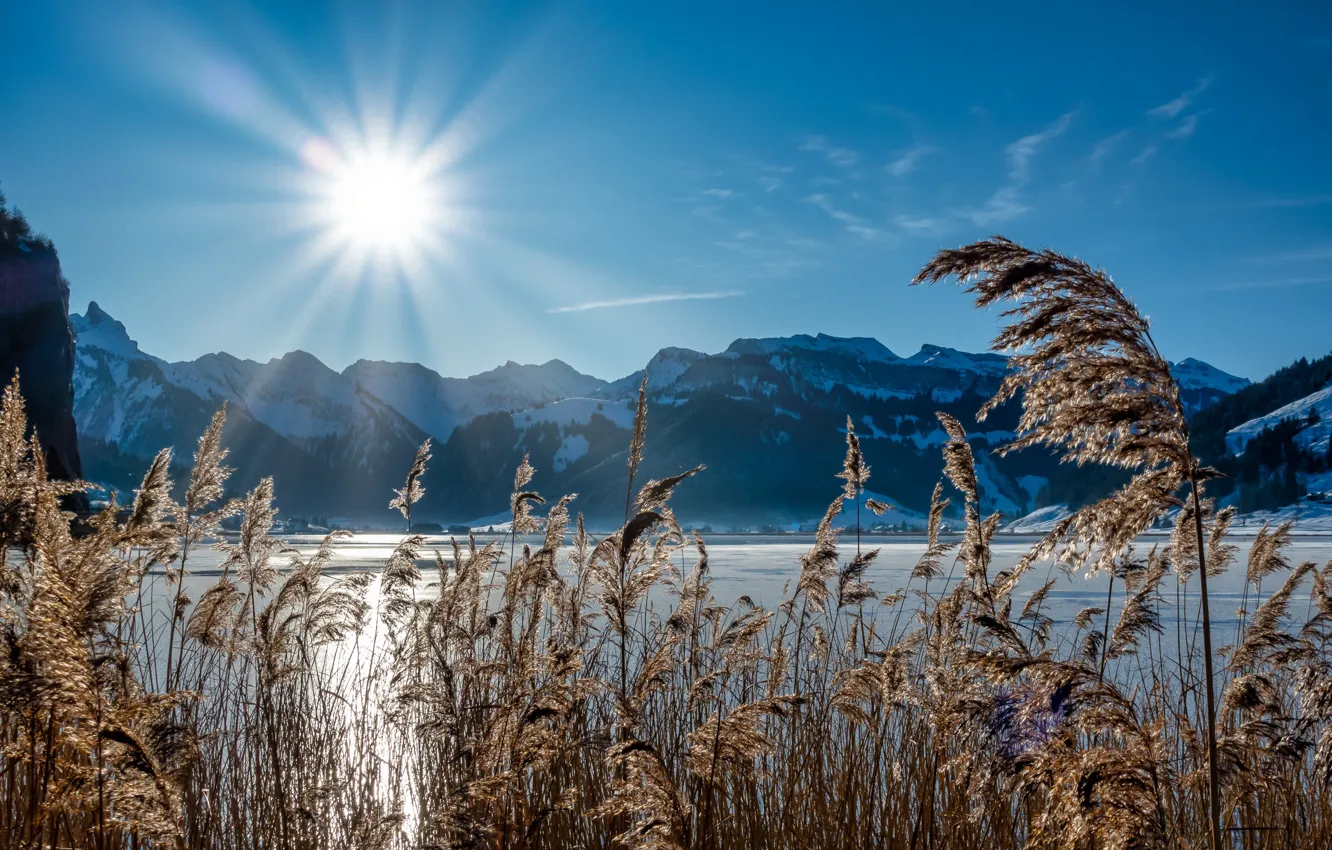 Photo wallpaper grass, the sun, rays, landscape, mountains, nature, lake, Switzerland
