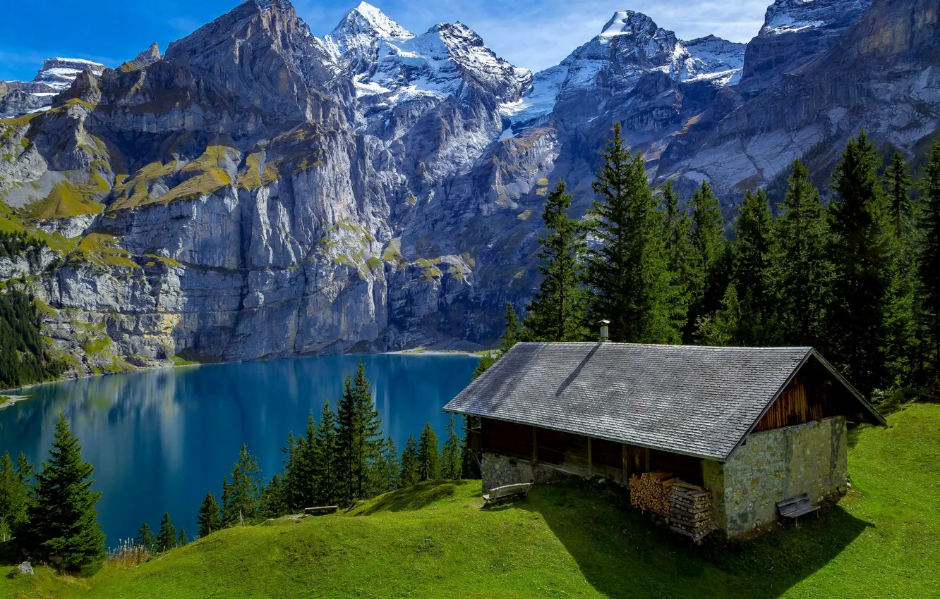 Photo wallpaper forest, trees, mountains, bench, lake, rocks, Switzerland, wood