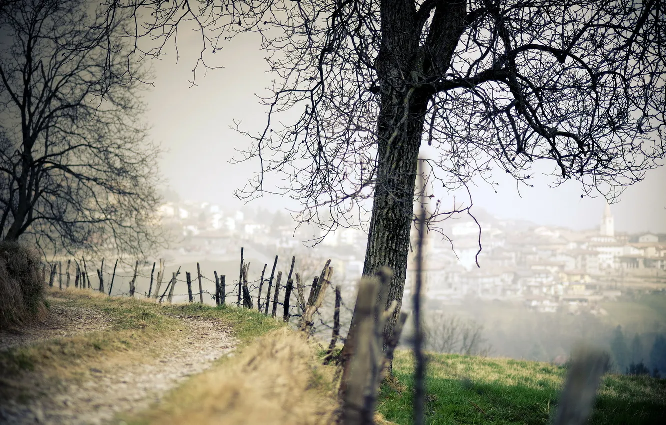 Photo wallpaper road, landscape, the fence