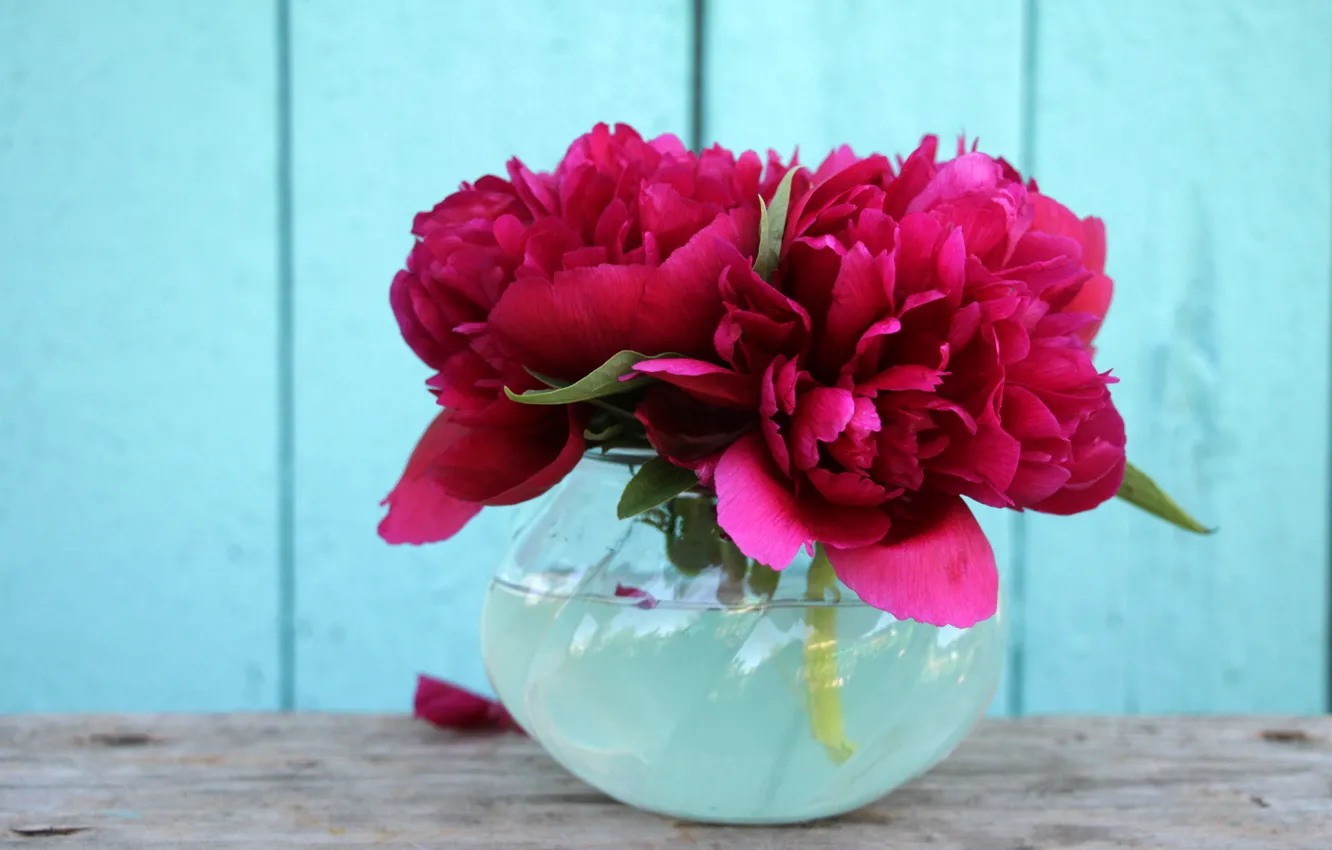 Photo wallpaper flowers, background, Wallpaper, bouquet, peonies, peony, flowers in a vase, peony
