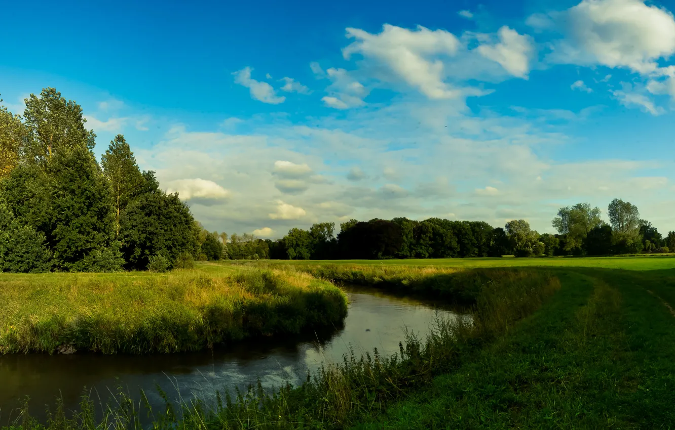 Photo wallpaper field, the sky, clouds, trees, river