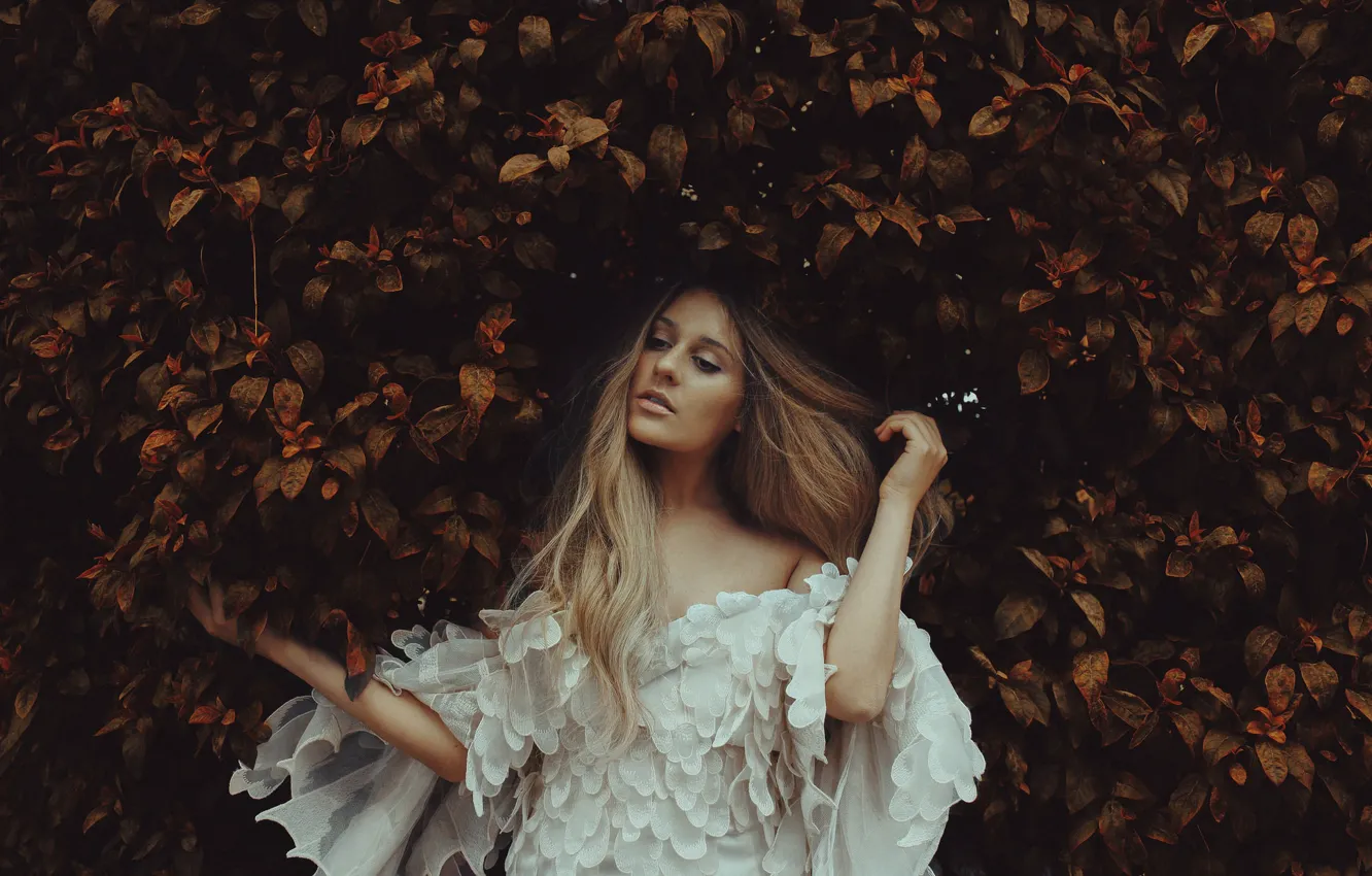 Photo wallpaper autumn, leaves, girl, mood, hair, dress, the bushes