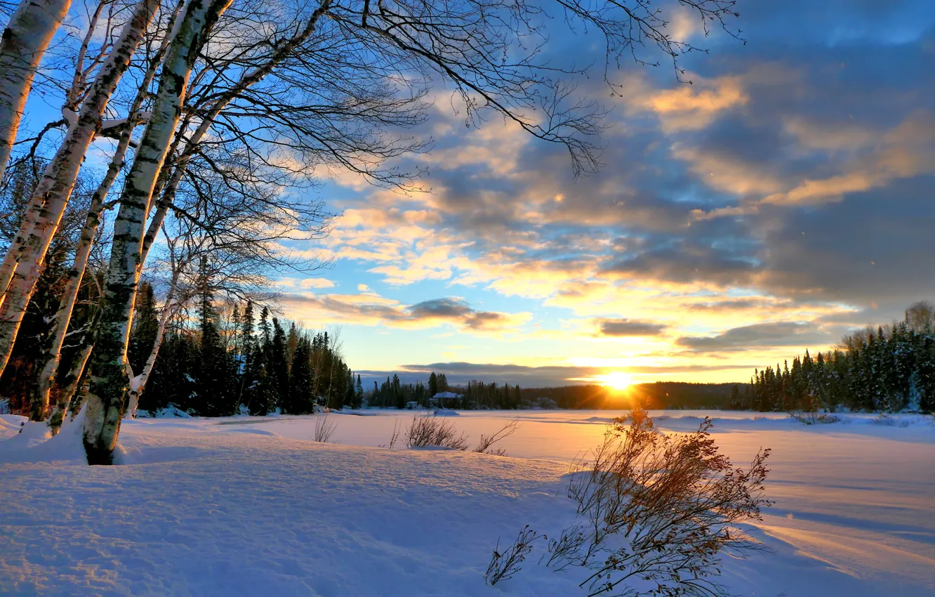 Photo wallpaper winter, forest, the sun, rays, snow, trees, landscape, sunset