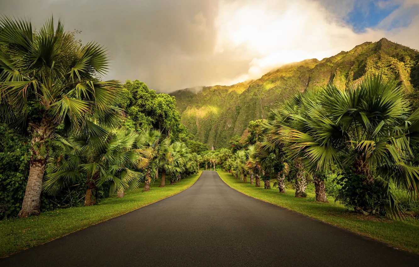 Photo wallpaper road, the sky, mountains, nature, palm trees