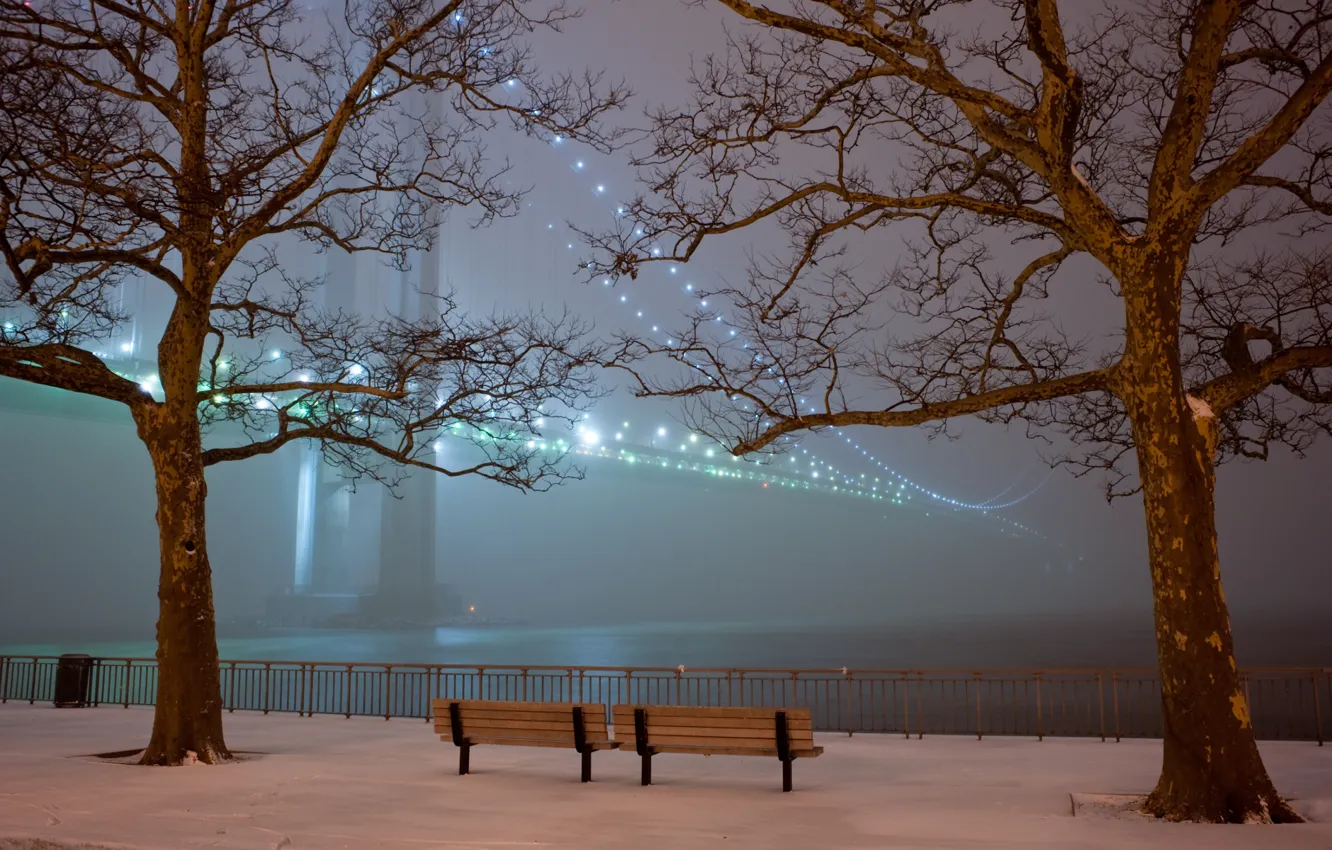 Photo wallpaper snow, trees, bridge, lights, fog, Park, the evening, benches