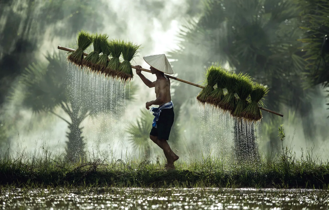 Photo wallpaper Thailand, nature, people, man