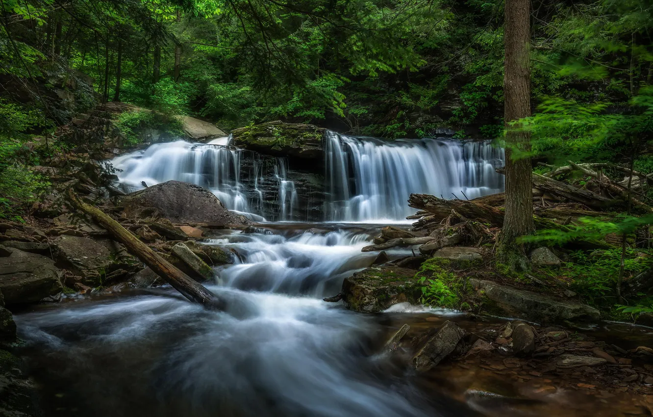 Photo wallpaper forest, nature, river, waterfall, Ricketts Glen