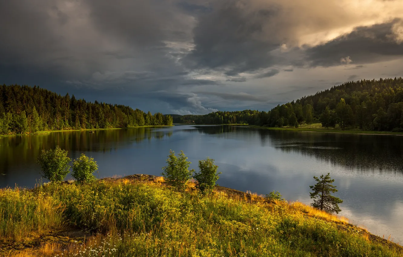 Photo wallpaper trees, landscape, nature, river