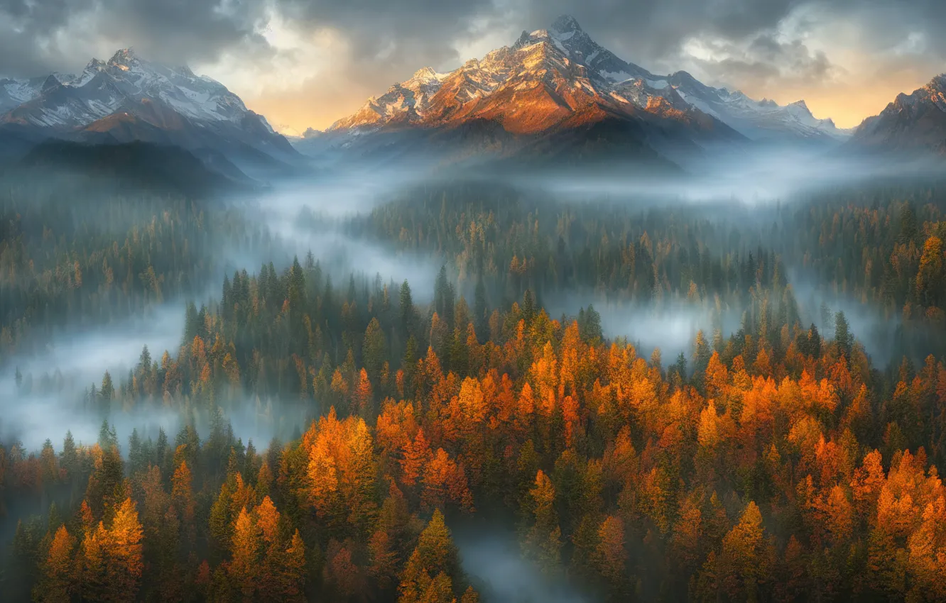 Photo wallpaper autumn, forest, clouds, light, snow, mountains, nature, fog