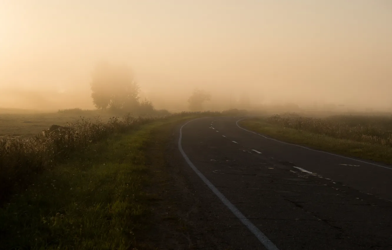 Photo wallpaper road, field, nature, fog, morning